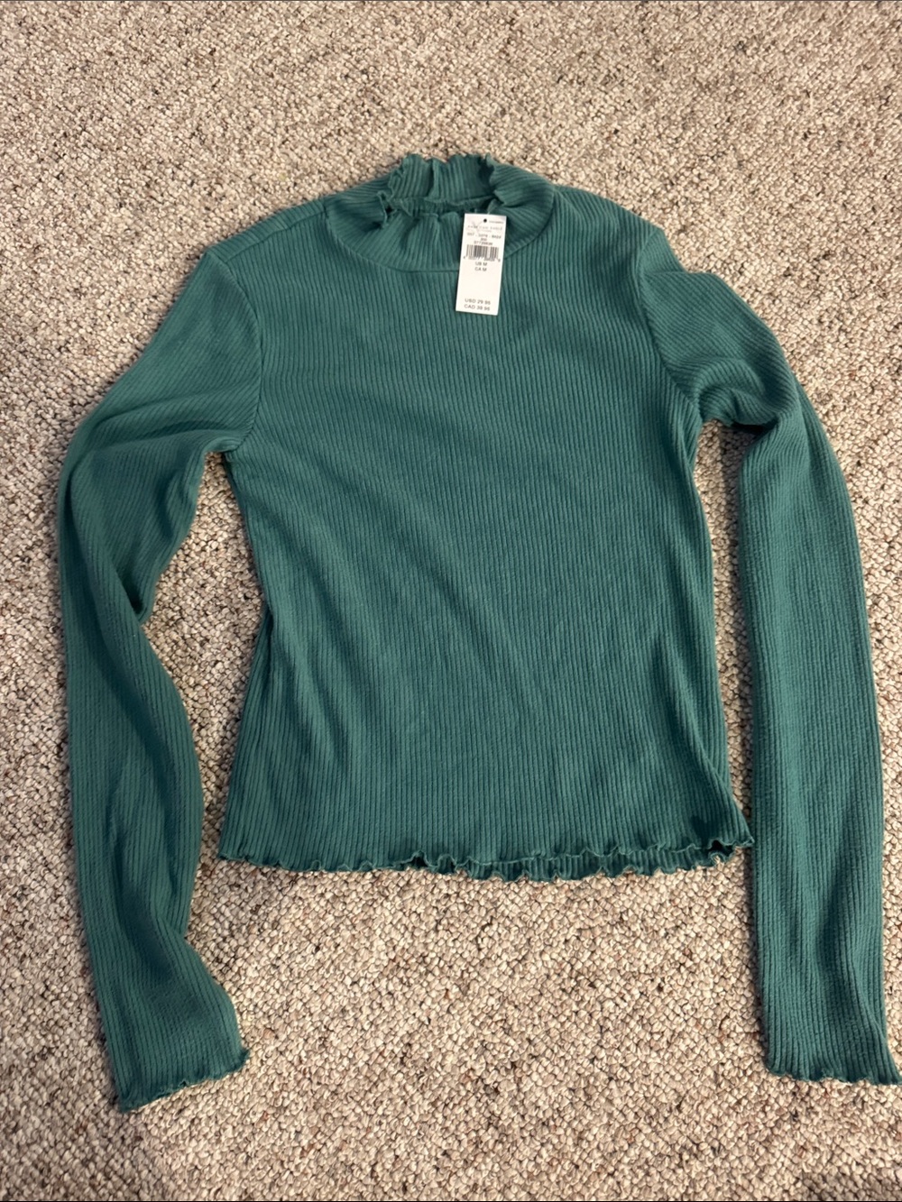 American Eagle Outfitters Teal Ribbed Mock Neck Long Sleeve Top